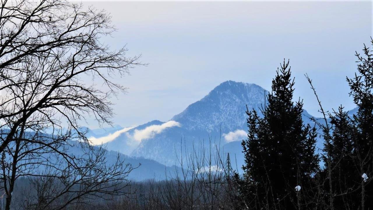 Kaiserblick